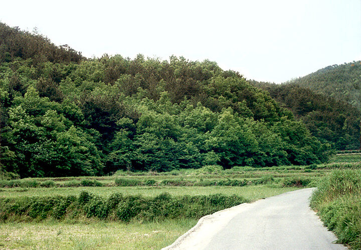 빙고지전경