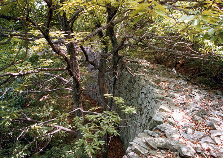 고산성근경