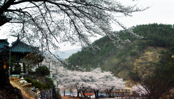 지곡사지 전경