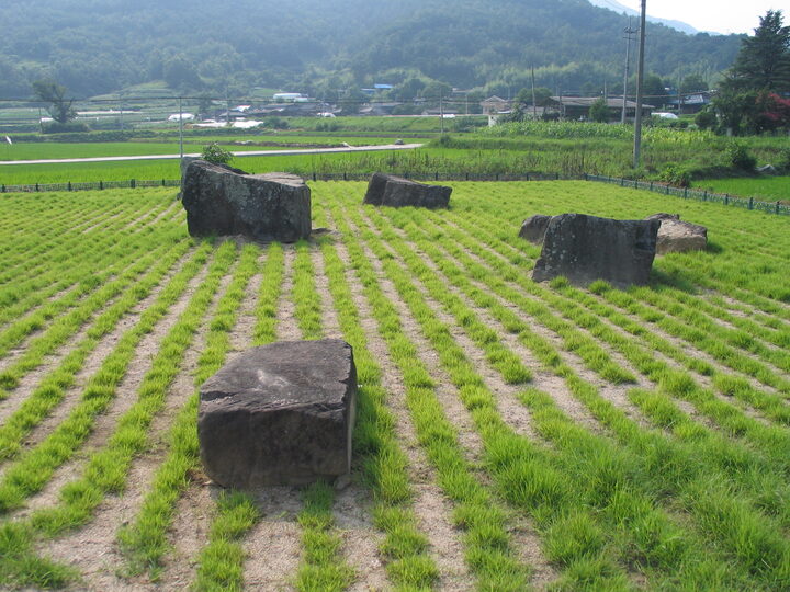 합천학리지석묘군