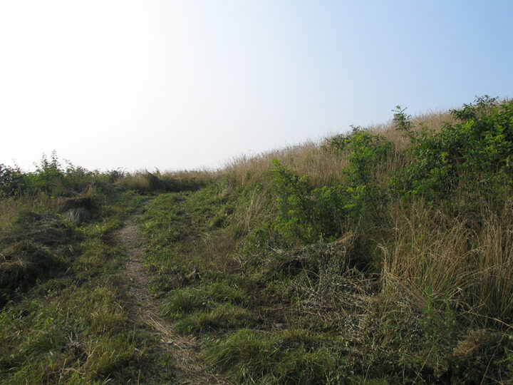 전초팔성