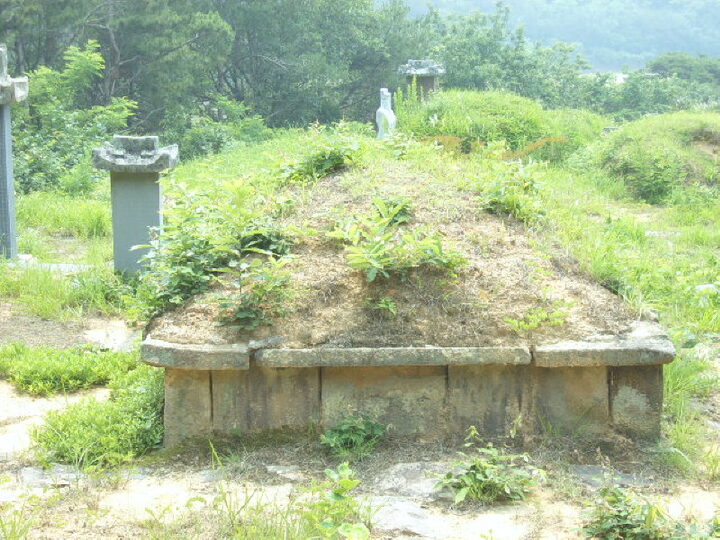 상산김씨김후묘배면