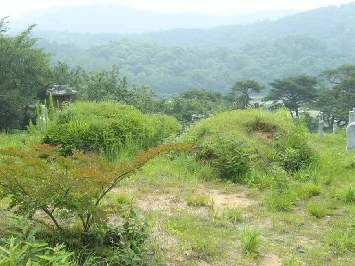 상산김씨김후묘배면