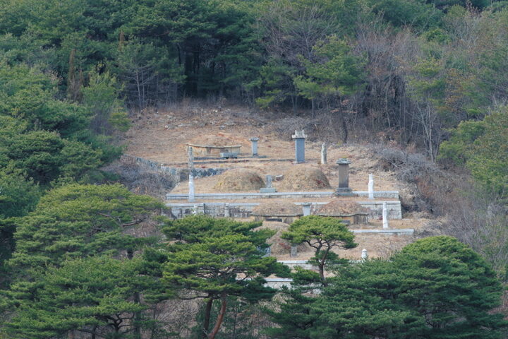 산청상산김씨김후묘