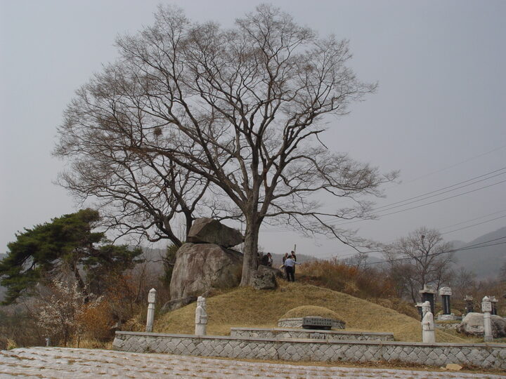 원경1