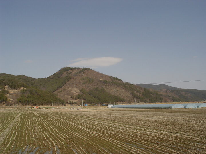 원경1