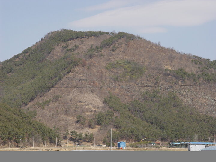 전경