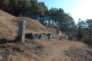 조숙기 부부묘 전경