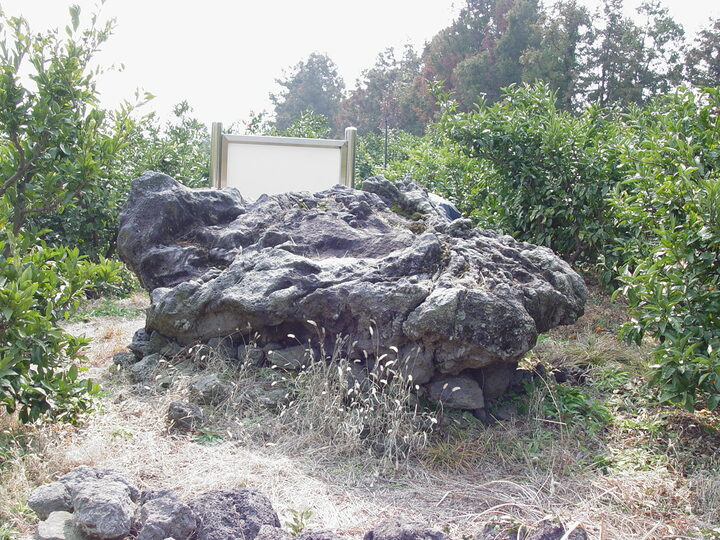 상예동지석묘 1호
