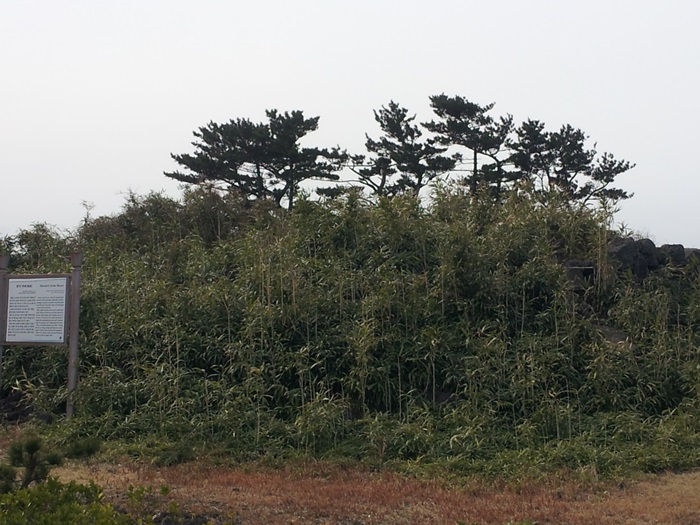 함덕연대(제주시)