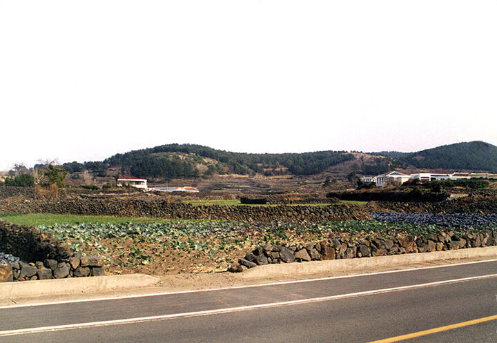 곽지패총전경
