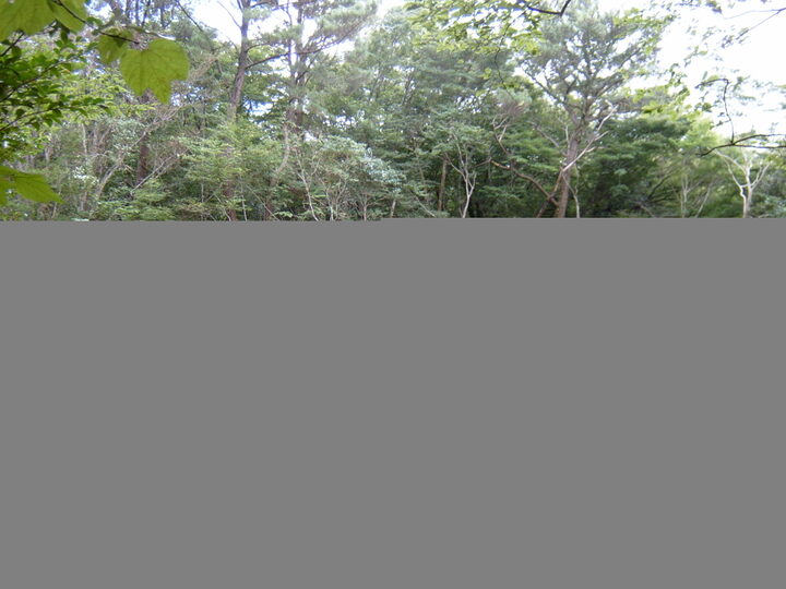 항일운동발상지(법정사지)-1