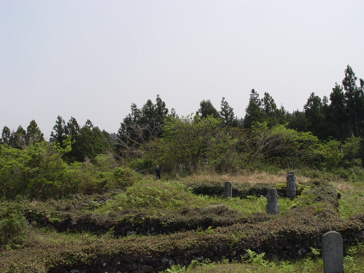 묘역 전경