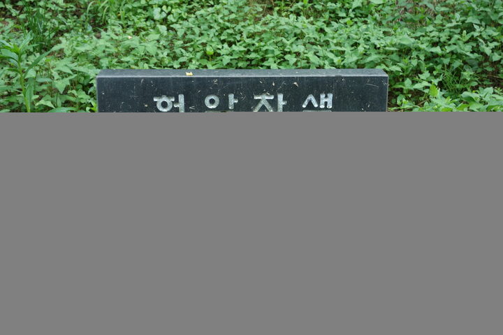 허암 정희량 유허지
