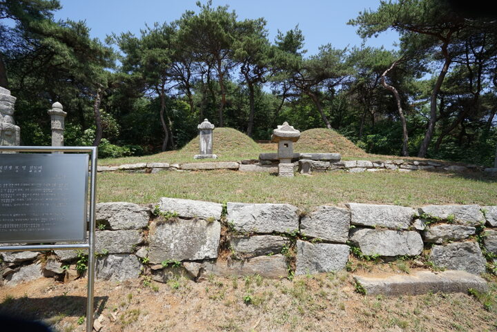 황형 묘