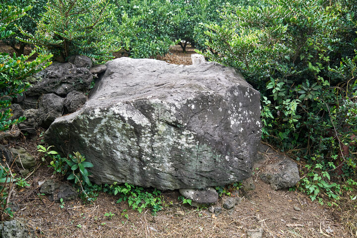 _신례리 지석묘 2호_정면3