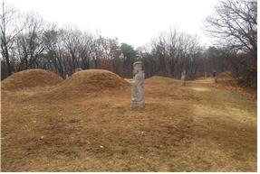 평산신씨 종중묘역(후면)