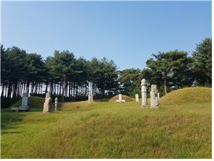 의령남씨 종중묘역(전면)