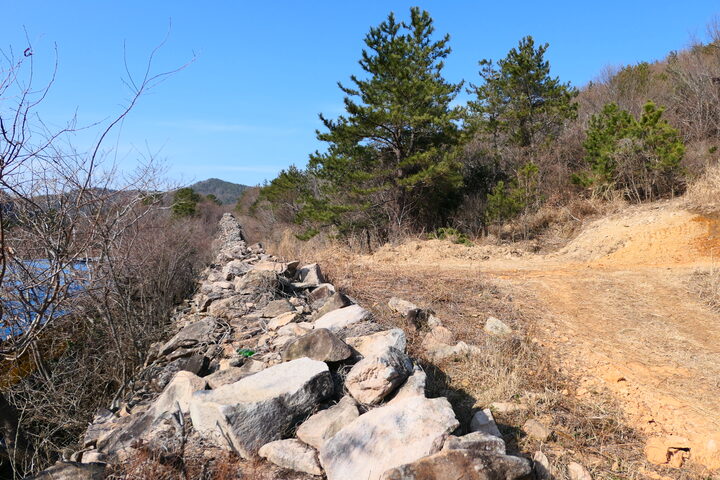 고흥군 문화예술과