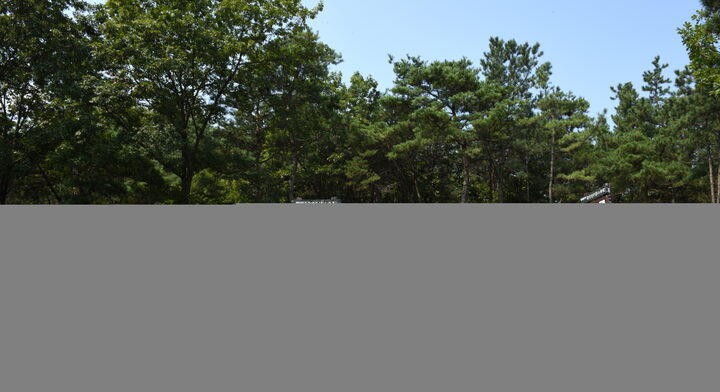 여주매룡리고분군_전경 (촬영년도 : 2015년)