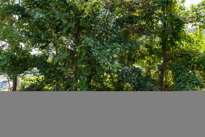 거제고군현치소지_근경2 (촬영년도 : 2015년)