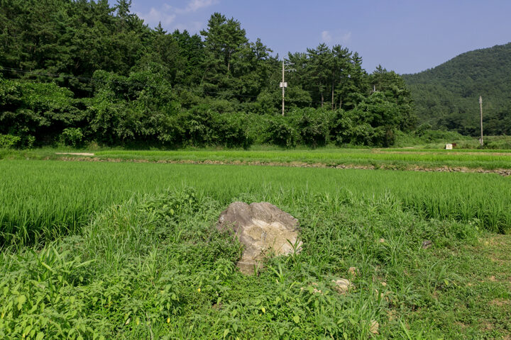 고성 석지리 지석묘_전경1 (촬영년도 : 2015년)