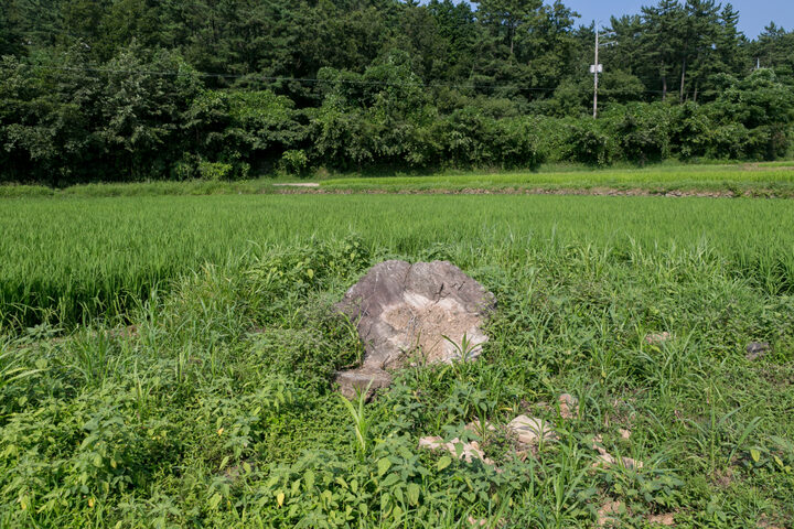 고성 석지리 지석묘_전경2 (촬영년도 : 2015년)