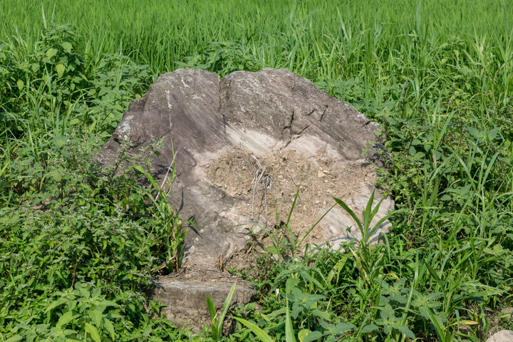 고성 석지리 지석묘_전경3 (촬영년도 : 2015년)