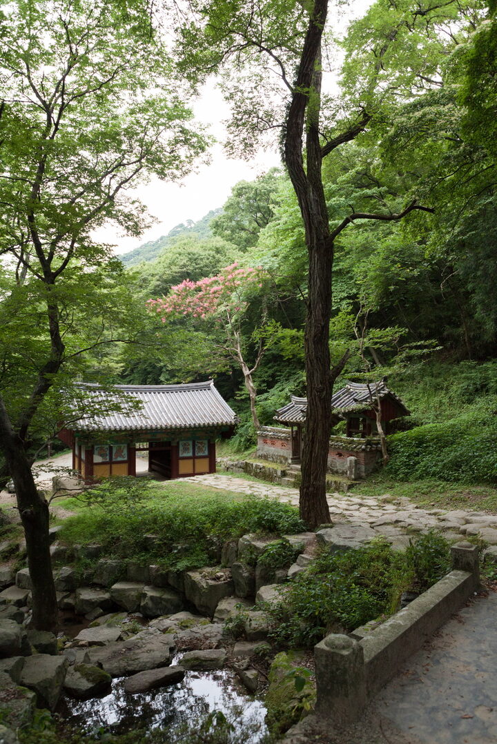 고성옥천사일원_계곡과 나무 (촬영년도 : 2015년)