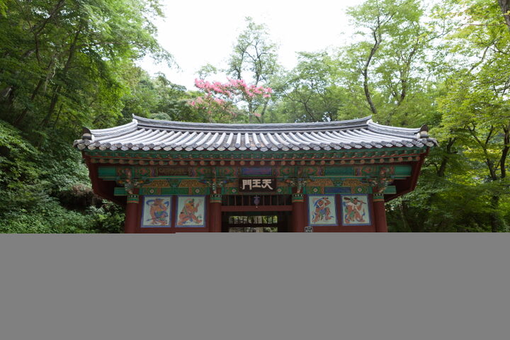 고성옥천사일원_등산로 (촬영년도 : 2015년)