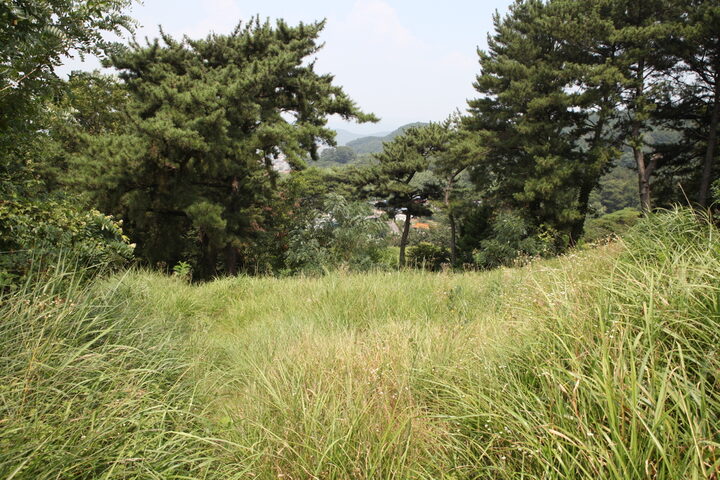 김해칠산동고분군_전경1 (촬영년도 : 2015년)