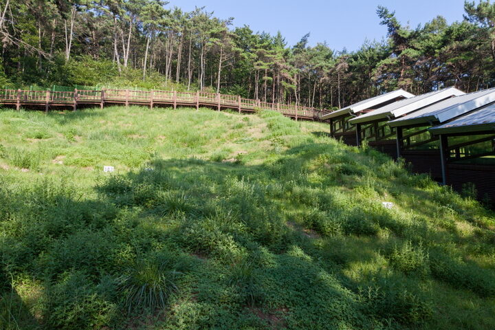 웅천도요지_근경4 (촬영년도 : 2015년)