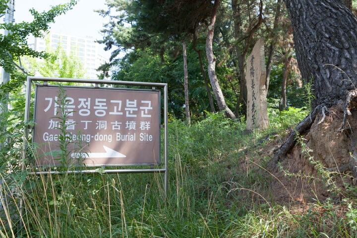 창원 가음정동 고분군_전경3 (촬영년도 : 2015년)