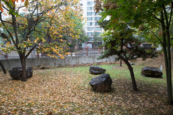 사월동지석묘군_근경2 (촬영년도 : 2015년)