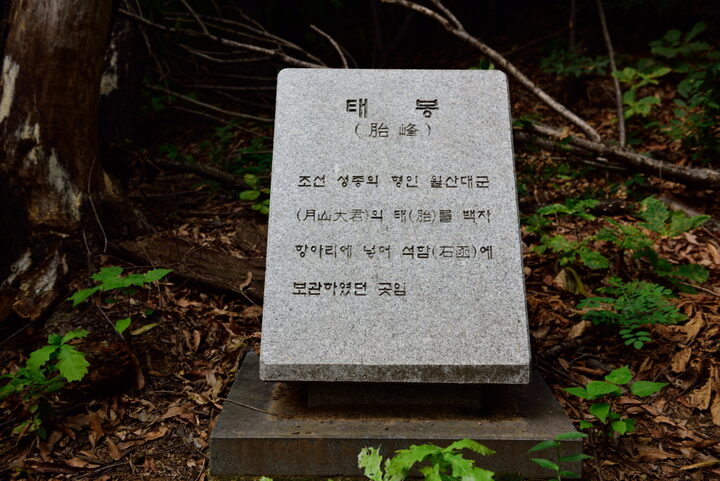 월산대군 이정 태실_태봉 (촬영년도 : 2015년)