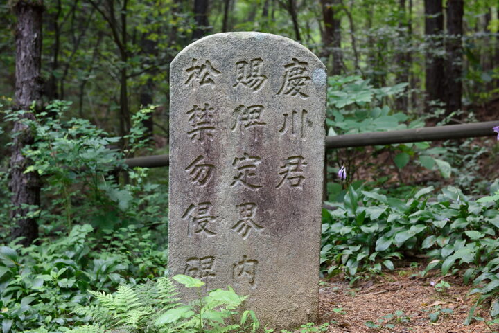 경천군 이해룡 사패지 송금비 (촬영년도 : 2015년)