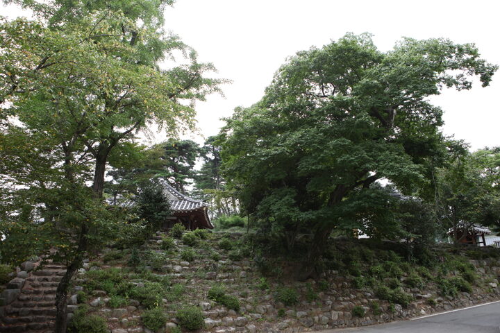 부춘정원림_전경 (촬영년도 : 2015년)