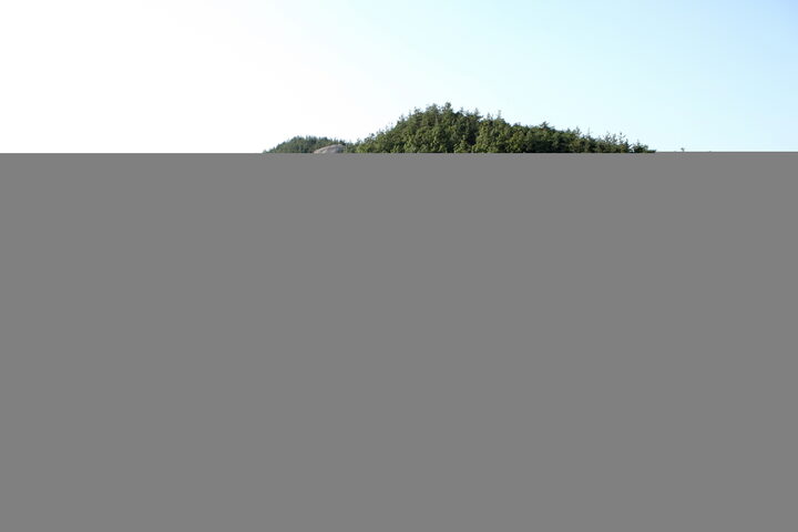 영암엄길리지석묘군_입구 전경 (촬영년도 : 2015년)