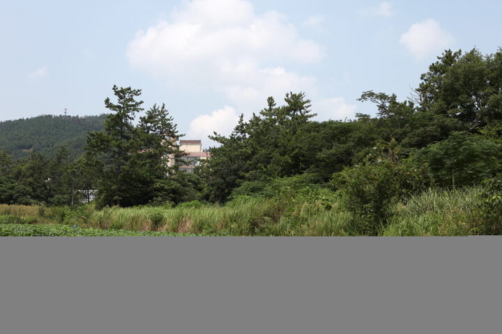 영암금계리고분군_전경 (촬영년도 : 2015년)