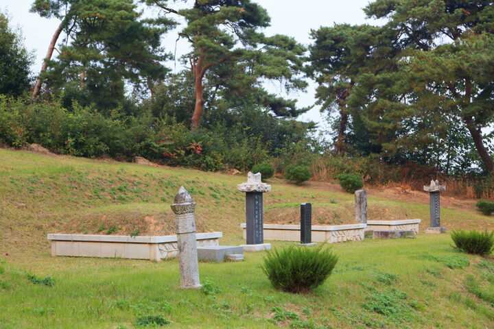 공주귀산리만경노씨삼의사생가지_삼의사 묘소 전경 (촬영년도 : 2015년)