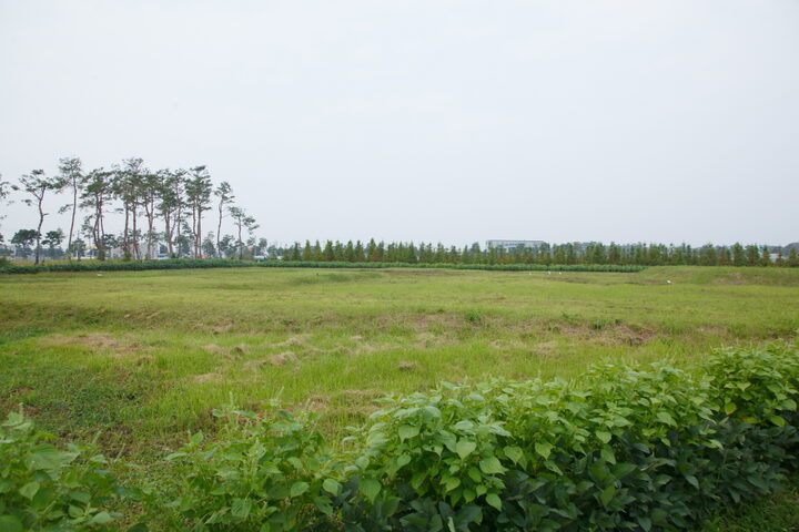 동남리사지_전경 (촬영년도 : 2015년)