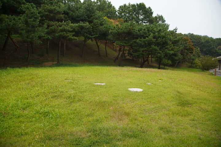 동남리전천왕사지_밑에서 올려다 본 전경 (촬영년도 : 2015년)