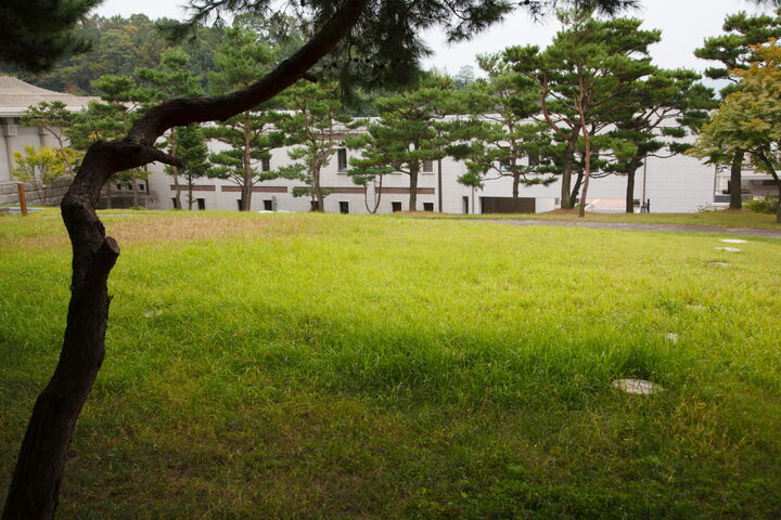 동남리전천왕사지_소나무 숲쪽에서 바라본 전경 (촬영년도 : 2015년)