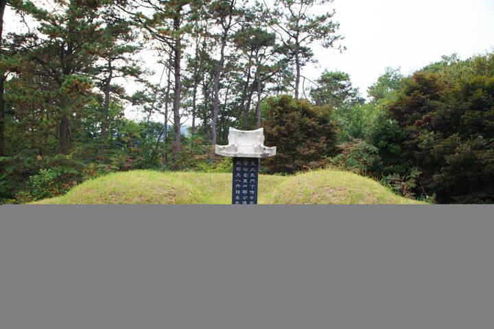 도응선생묘일원 (촬영년도 : 2015년)