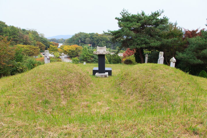 도응선생묘일원_뒤에서 바라본 묘소 전경 (촬영년도 : 2015년)