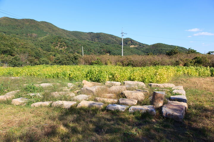 예산가야사지_발굴유물2 (촬영년도 : 2015년)