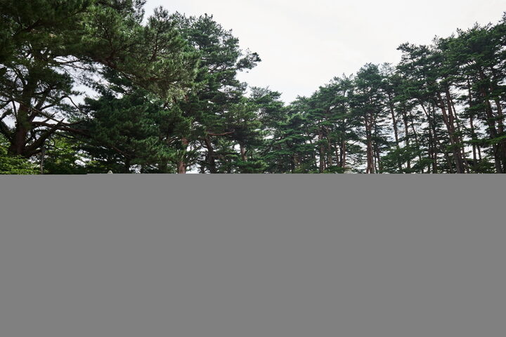 명주군왕릉_전경 (촬영년도 : 2016년)