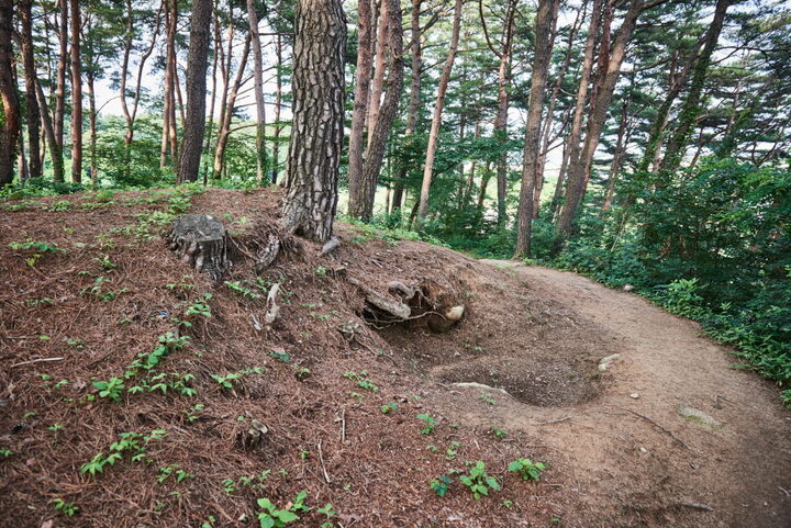 영진리고분군_윗면 (촬영년도 : 2016년)