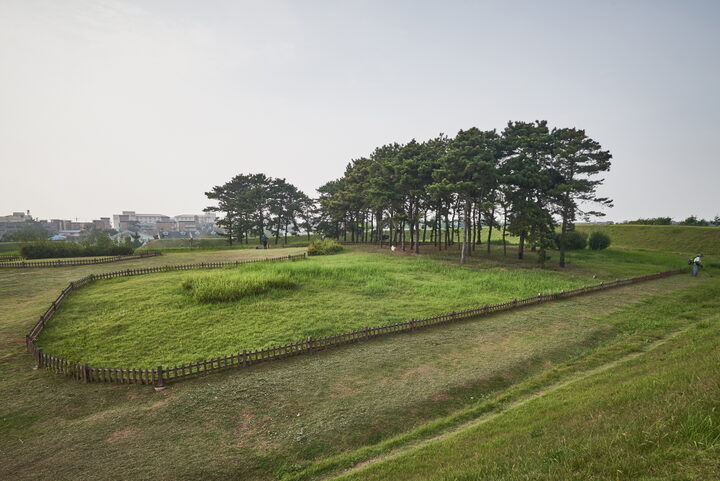 농성