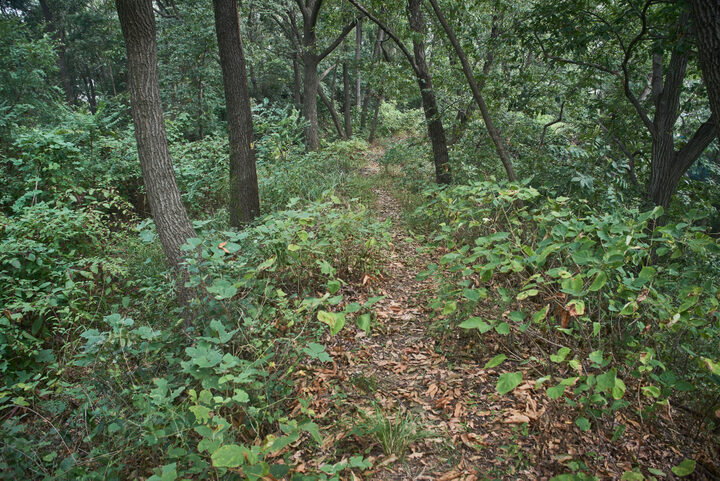 평택무성산성지 1